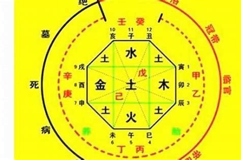 喜用神怎麼算|八字入门基础 第六篇 如何判断八字喜用神